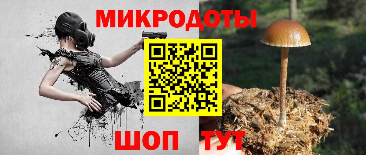 Заволжье  Галлюциногенные грибы Magic Shrooms  Галлюциногенные грибы Magic Shrooms  Вход с VPN 